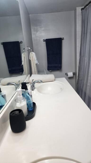 Two Bedroom Near Nashville-downtown Holiday home Nashville